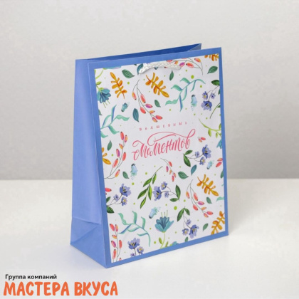 Пакет бумажный подарочный с ручками 180*230*80 мм, ламинированный "Волшебных моментов"