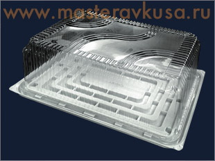 Контейнер прямоугольный,  350*253  h106 мм (комплект дно/крышка), Т-314