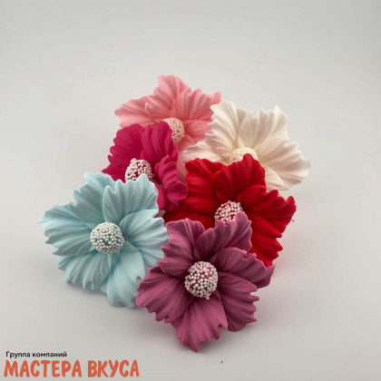 Сахарное украшение КОСМЕЯ микс d ~8,5см
