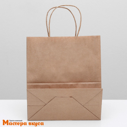 Пакет бумажный с кручеными ручками 220*120*280 мм, (крафт) 