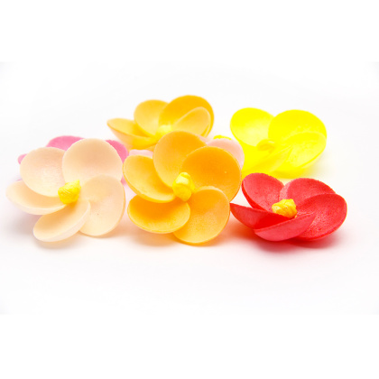 Вафельные цветы ФЛОКСЫ, d~3,2 см, (упак 10 шт микс)