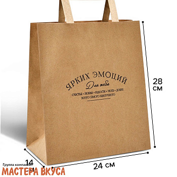 Пакет бумажный подарочный с ручками 240*280*140 мм, (крафт) "Ярких эмоций"