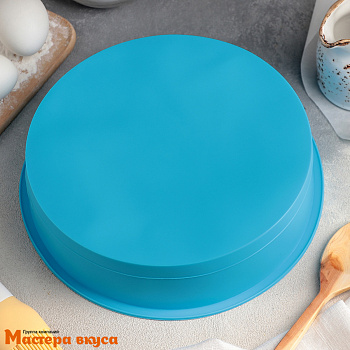 Форма силиконовая КРУГ, d24 h5 см 