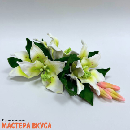 Сахарное украшение ветка ЛИЛИЯ БЕЛАЯ С ЗЕЛЁНЫМ ПРОКРАСОМ, длина ~20см