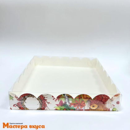 Упаковка для пряников и печенья с прозр. крышкой 200*200*35 мм (XMAS) (2-д)