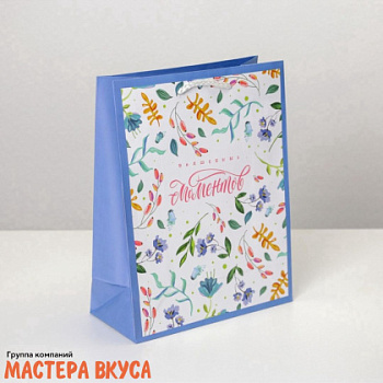 Пакет бумажный подарочный с ручками 180*230*80 мм, ламинированный "Волшебных моментов"