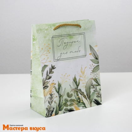 Пакет бумажный подарочный с ручками 180*230*80 мм, ламинированный "Подарок для тебя" (зеленый)