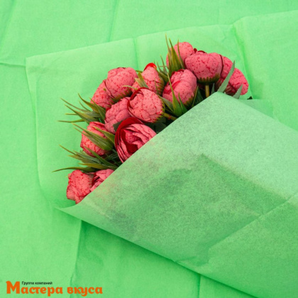 Бумага упаковочная тишью ЗЕЛЁНОЕ ЯБЛОКО 50*66 см (упак 10листов) 