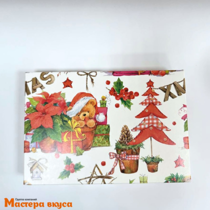 Упаковка для пряников и печенья с прозр. крышкой 220*150*35 мм (XMAS) (2-д)