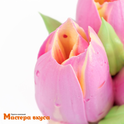 Насадка-диск ТЮЛЬПАН № 5, D 4,5 см 