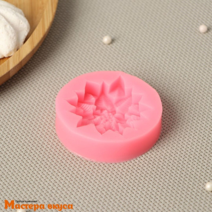 Молд силиконовый МНОГОЛИСТНИК, 6,3*6,3*1,7 см