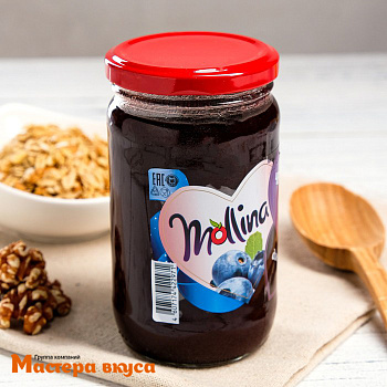 Джем Mollina ЧЕРНИЧНЫЙ, 450 гр 