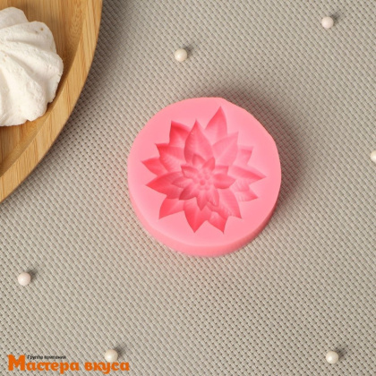 Молд силиконовый МНОГОЛИСТНИК, 6,3*6,3*1,7 см