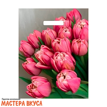 Пакет полиэтиленовый с вырубными ручками 310*400 мм, "Стелла"