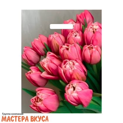 Пакет полиэтиленовый с вырубными ручками 310*400 мм, "Стелла"