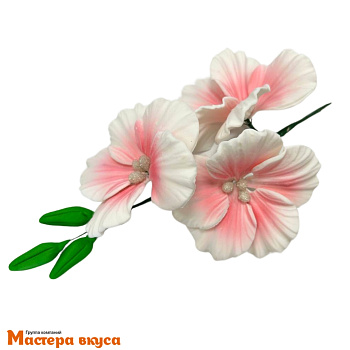 Сахарное украшение букет МАЛЬВА БЕЛО-РОЗОВАЯ (3 цветка), длина ~17,5см