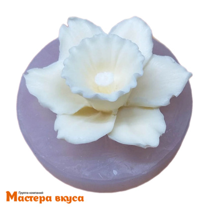 Молд силиконовый  3D НАРЦИСС, изд d~7,3см h~3см (шоколад~33гр) 