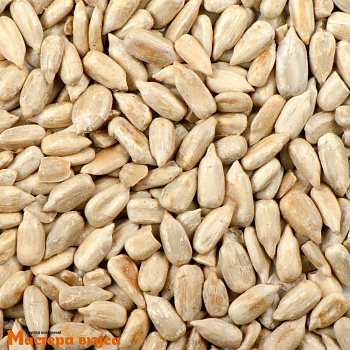 Семечка подсолнечника (мешок 25 кг - фасовка 1 кг) 