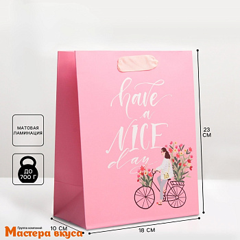 Пакет бумажный подарочный с ручками 180*230*80 мм, ламинированный "Have a nice day"