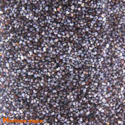 Мак голубой пищевой (Чехия)