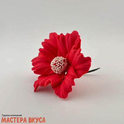 Сахарное украшение КОСМЕЯ микс d ~8,5см