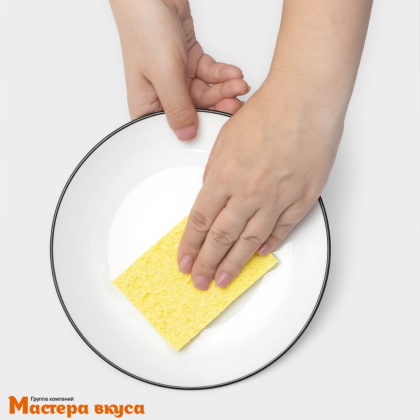 Губка для посуды целлюлозная 10*1,5*7 см