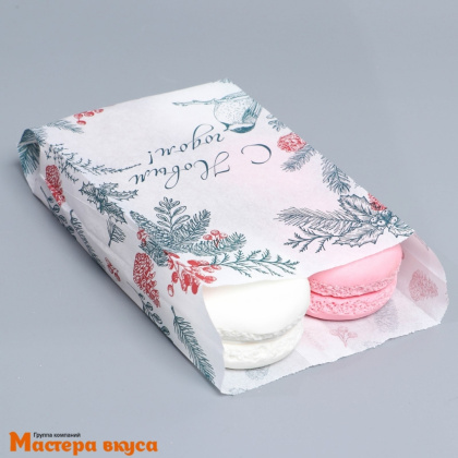 Пакет бумажный 200*110 мм, без окна, V-образное дно, (белый) "Новогодняя ботаника"