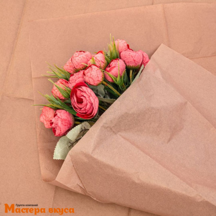 Бумага упаковочная тишью КОРИЧНЕВАЯ 50*66 см (упак 10листов)