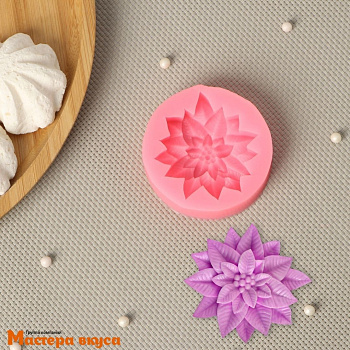 Молд силиконовый МНОГОЛИСТНИК, 6,3*6,3*1,7 см