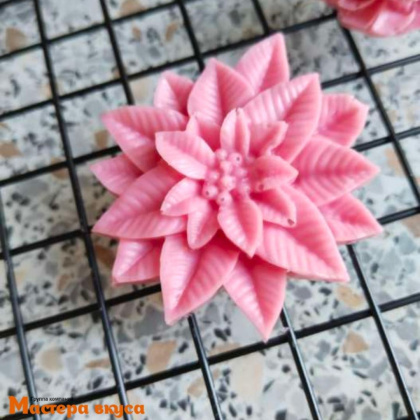 Молд силиконовый МНОГОЛИСТНИК, 6,3*6,3*1,7 см