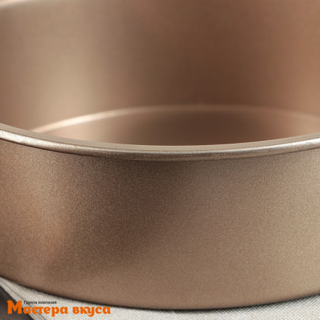 Форма для выпечки съемное дно, D21,5см h-6,5см, (антипригарное покрытие) Круг "Рэнди"