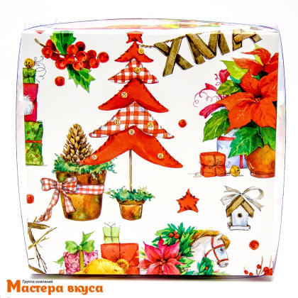 Упаковка для пряников и печенья с прозр. крышкой 155*155*35 мм (XMAS) (2-д)
