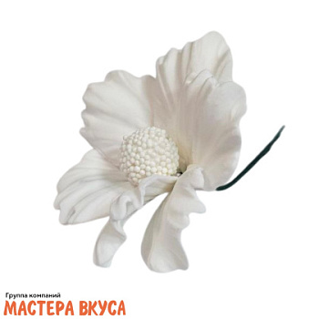 Сахарное украшение КОСМЕЯ БЕЛАЯ, d ~8,5см