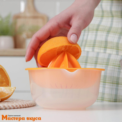 Соковыжималка для цитрусовых "Мадена", 17*14*10 см