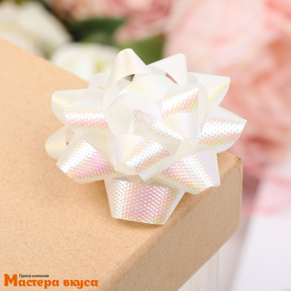 Бант-звезда, цвета МИКС, d~5 см