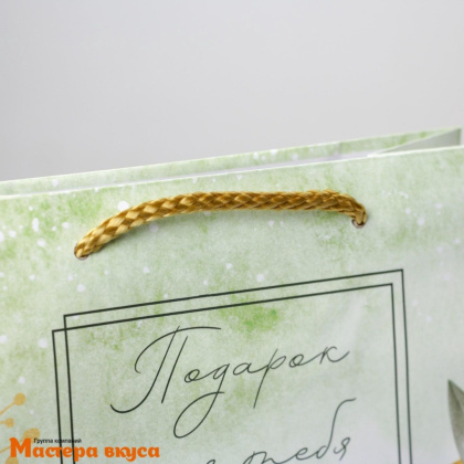 Пакет бумажный подарочный с ручками 180*230*80 мм, ламинированный "Подарок для тебя" (зеленый)