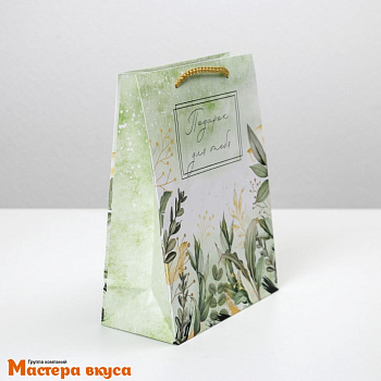Пакет бумажный подарочный с ручками 180*230*80 мм, ламинированный "Подарок для тебя" (зеленый)
