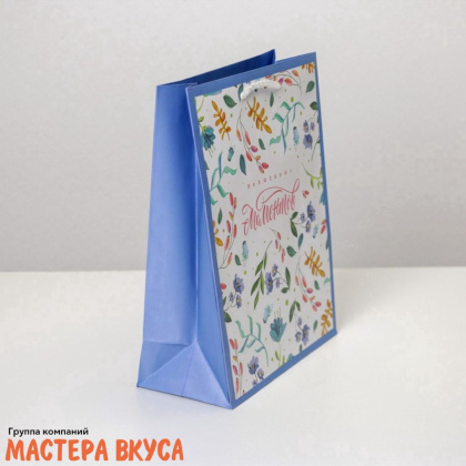 Пакет бумажный подарочный с ручками 180*230*80 мм, ламинированный "Волшебных моментов"