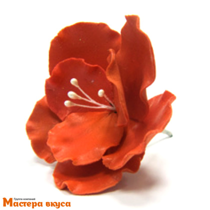 Сахарное украшение ШИПОВНИК КРАСНЫЙ, d~8см 