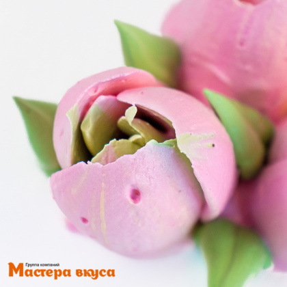 Насадка-диск ТЮЛЬПАН № 6, D 4,5 см 