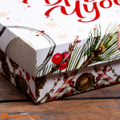 Упаковка для сладостей крышка/дно 210*150*57 мм  (Время чудес)