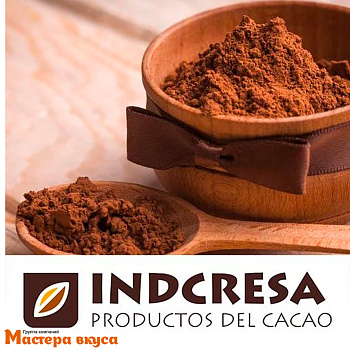 Какао-порошок алкализованный PV-5 Indcresa (Испания), 10-12%