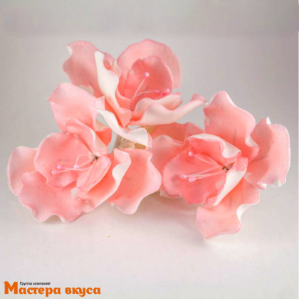 Сахарное украшение ШИПОВНИК РОЗОВЫЙ, d~8см 