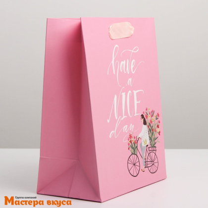 Пакет бумажный подарочный с ручками 180*230*80 мм, ламинированный "Have a nice day"