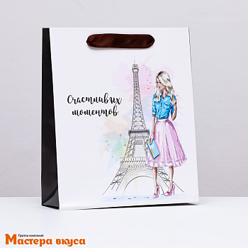 Пакет бумажный подарочный с ручками 210*250*80 мм, ламинированный "Романтика Парижа"