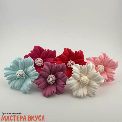 Сахарное украшение КОСМЕЯ микс d ~8,5см