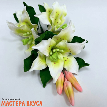 Сахарное украшение ветка ЛИЛИЯ БЕЛАЯ С ЗЕЛЁНЫМ ПРОКРАСОМ, длина ~20см