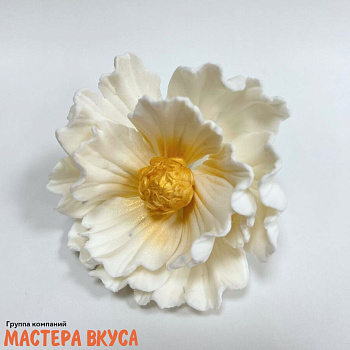 Сахарное украшение ПИОН БЕЛЫЙ С ЗОЛОТОЙ СЕРЕДИНКОЙ, d ~9см 