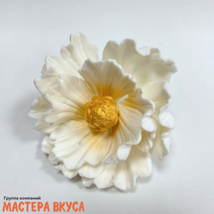 Сахарное украшение ПИОН БЕЛЫЙ С ЗОЛОТОЙ СЕРЕДИНКОЙ, d ~9см 