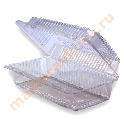 Контейнер прямоугольный Ракушка, 239*121  h57 мм, 5 ячеек, УК-18